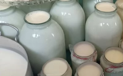 Süd məhsullarının qiyməti niyə bahalaşır? —