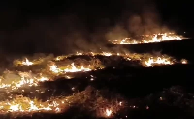 Ağdamda 30 hektar açıq ərazidə yanğın başladı – Video