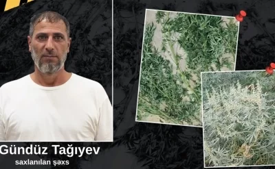 Həyətində narkotik tərkibli bitkilər yetişdirən
