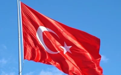 Meşə yanğını mərkəzə yaxınlaşır -