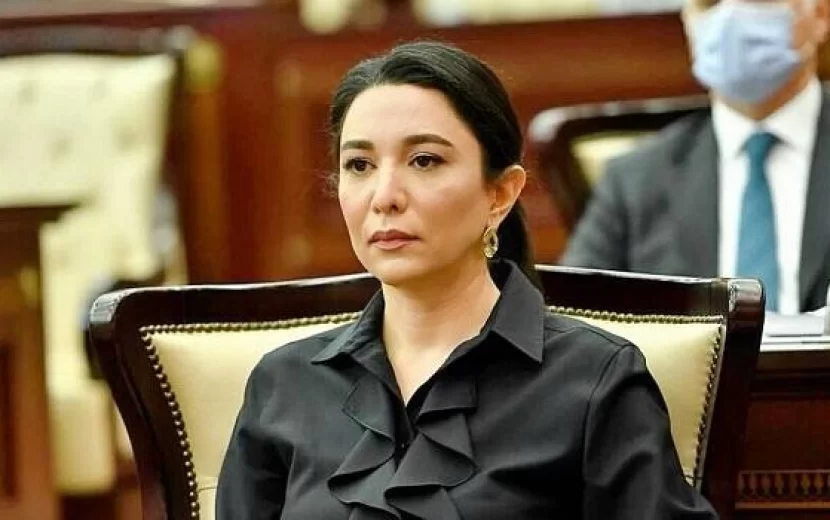 Səbinə Əliyeva: Ermənistanlı hüquq müdafiəçisinin iddiaları əsassız və qərəzlidir