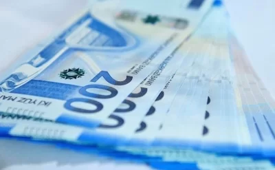 Bu il dövlət büdcəsindən 224,2 milyon manat geri qaytarıldı