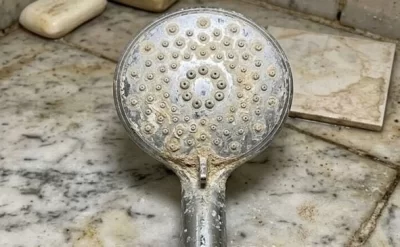 Sirkə və sodanı unudun: Duş başlığını təzə kimi edir