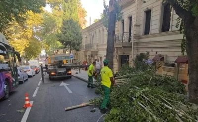 Sumqayıtda SKANDAL: ağaclar kəsildi, yerində obyekt tikildi: