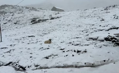 Türkiyədə hava qəfil dəyişdi: