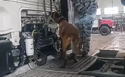Türkiyəyə gedən TIR-da