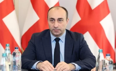 Gürcüstan DTX-nin rəhbəri postundan getdi - Nazir müavini olacaq -