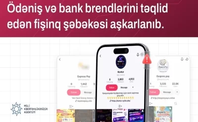 Ödəniş sistemlərini təqlid edən 6 saxta sayt aşkarlandı