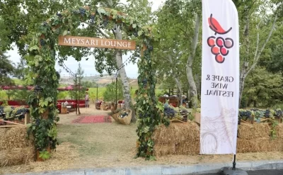 Şamaxıda Üzüm və Şərab Festivalı başladı - FOTO