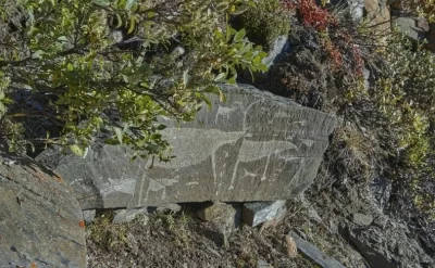 Çukotkada 31 yeni qayaüstü rəsm aşkar edilib