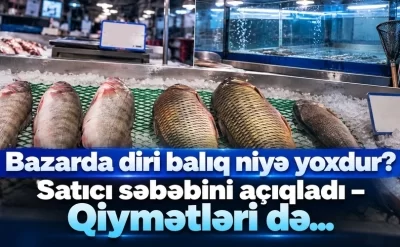 Bazarda diri balıq niyə yoxdur? Satıcı səbəbini açıqladı –