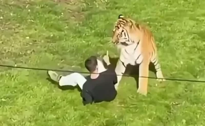 Zooparkda DƏHŞƏT: