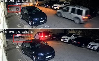 Bakıda küçə itləri sakinlərə hücum çəkdi