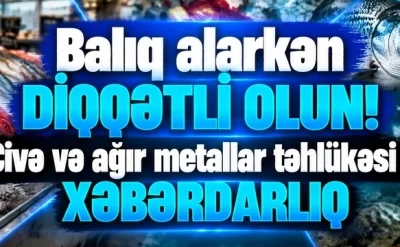 Balıq alarkən DİQQƏTLİ OLUN!