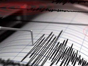 image-1745402377_zelzeleee__1_1