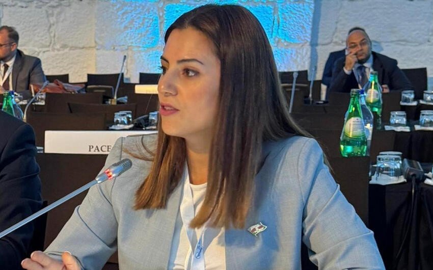 Deputat: Son 30 ildə 3400-dən çox vətəndaşımız mina partlayışlarının qurbanı olub