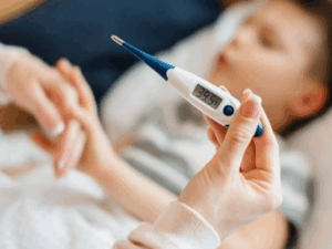 image-usaq_xestexana-768x403