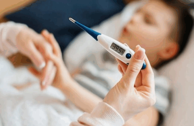 image-usaq_xestexana-768x403