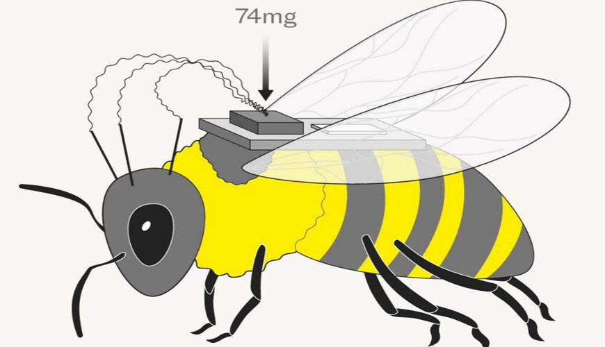 Pekin düşmənlərinə qarşı “kiber-arılar” yaradır – SENSASİNON DETALLAR 