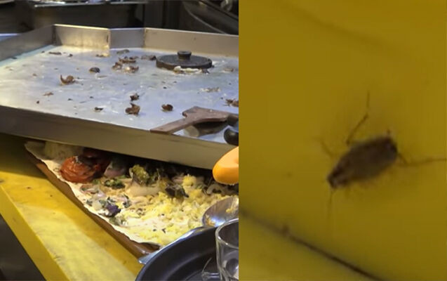 Bakıda məşhur restoranda həşəratlar “at oynadır” – VİDEO