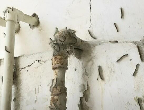 Azərbaycanda naməlum qurdlar evləri basdı: Sakinlər panikaya düşüb! – VİDEO