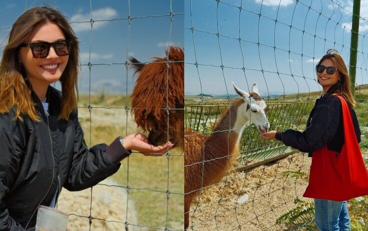 Van Dammın azərbaycanlı gəlini bu rayona getdi – FOTO