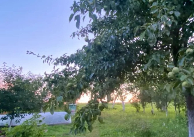 Əvvələr heç kim bunu bilmirdi: Avqustun sonunda mütləq edin