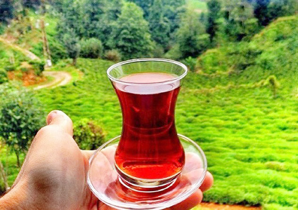 Çay içənlərə bəd XƏBƏR