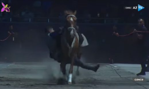 Cıdırdan Gəncəyə atlarla… – Video