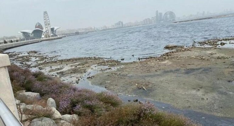 Xəzərin səviyyəsinin azalmasının qarşısını almaq üçün bu işlər GÖRÜLƏCƏK