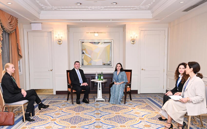 Leyla Əliyeva Nyu-Yorkda Sloveniya Prezidentinin həyat yoldaşı Ales Musarla görüşüb