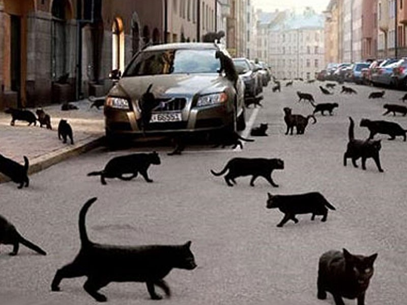 Geriyə yerimək, qırmızı geyinmək olmaz – batil inanclar