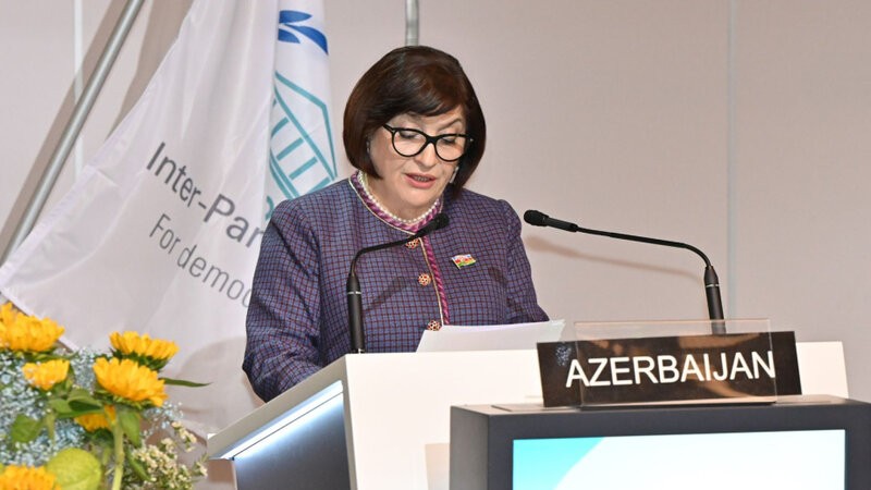 Sahibə Qafarova Cenevrədə mina qurbanlarından danışdı