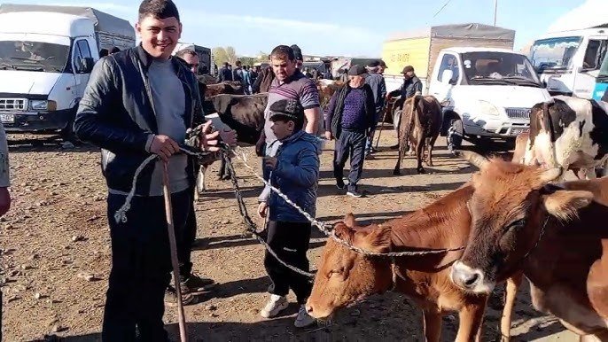 Bölgələrdə heyvan bazarları bağlandı – Ət bahalaşacaq? – VİDEO