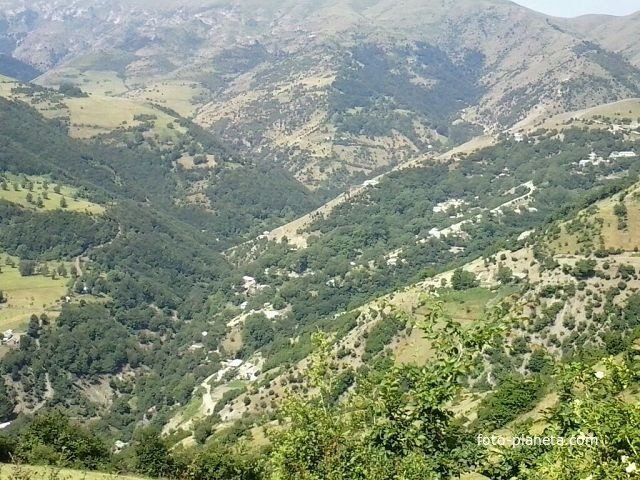 İki bölgəmizdə təhlükəli xəstəlik sürətlə yayılır: karantin gündəmdə – Rəsmi açıqlama