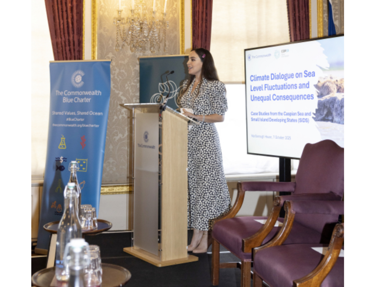 Leyla Əliyeva Londonda yüksəksəviyyəli iqlim dialoqunda iştirak edib 