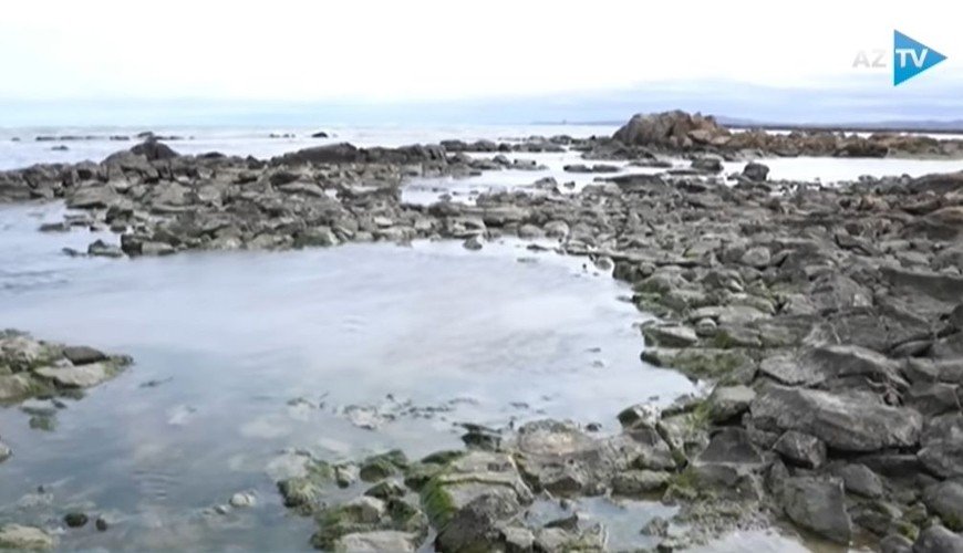 Xəzərdə ciddi təhlükə