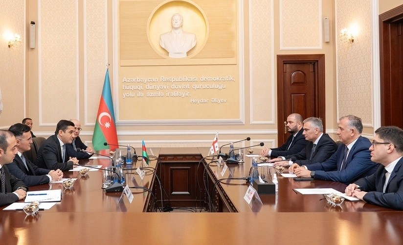 Gürcüstanın ədliyyə naziri Azərbaycana gəldi