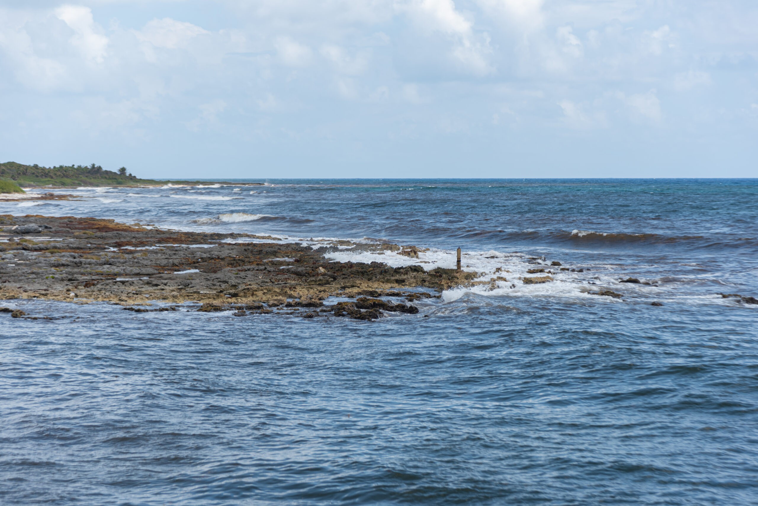 Xəzərlə bağlı dəhşətli proqnoz açıqlandı: 30 kilometr – VİDEO
