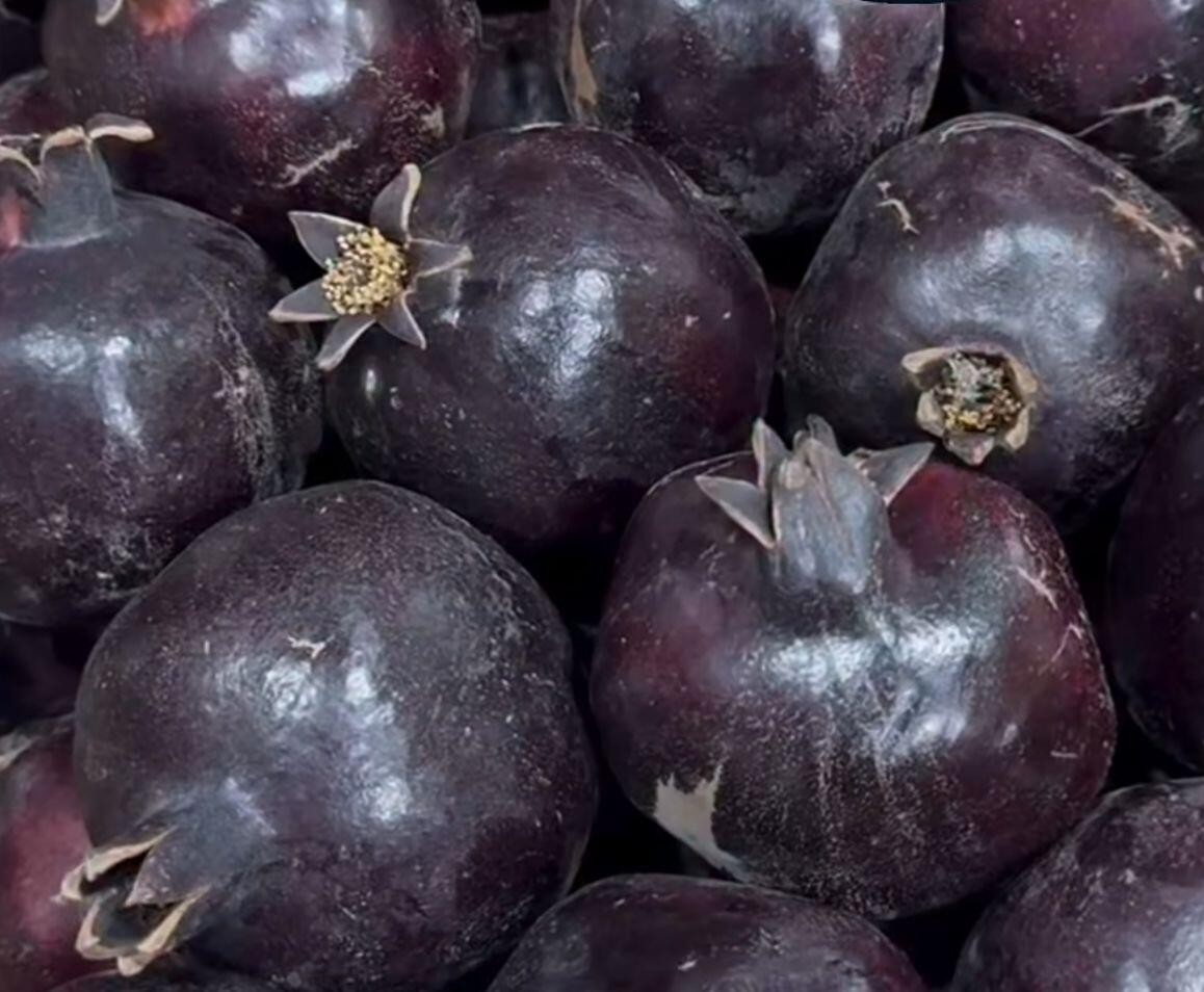 Göyçaydakı “qara nar” hər kəsi təəccübləndirdi