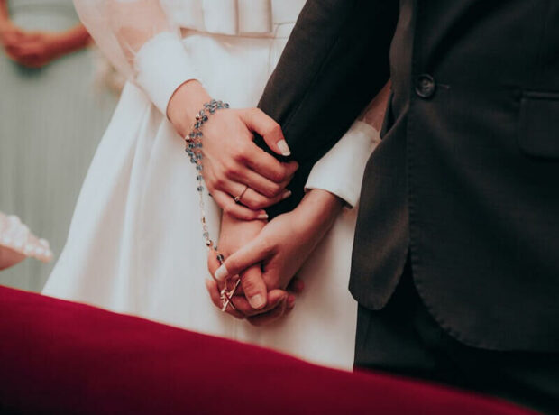 image-toy_gelin_2024_2-1