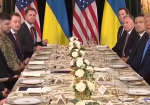 image-558cbd069c4429261a9d52a79bbdbc4a