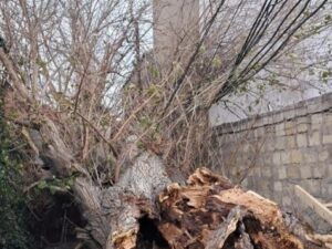 image-fc257ecd0ed1a087160318523ce1342e