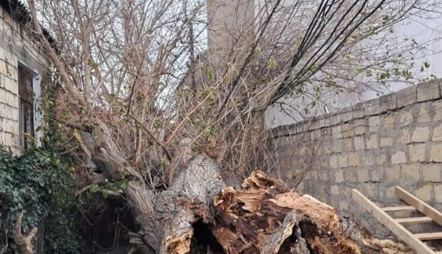 image-fc257ecd0ed1a087160318523ce1342e