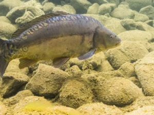 image-ua4c1aiytijx4ad2x5y1adlguywrzykqgsuqt9v6_1200