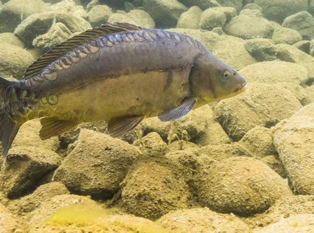 image-ua4c1aiytijx4ad2x5y1adlguywrzykqgsuqt9v6_1200