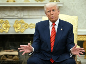 image-1763740634_1756804352_trampp-1