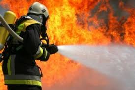 image-1767363781_images-1