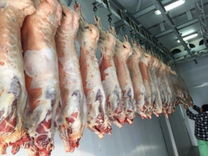 image-17676182541897097215695bb6ce35bac