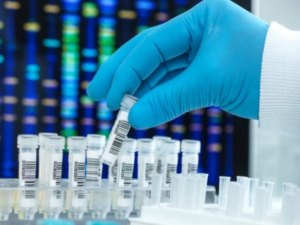 image-1768109825_6edacbbd9c005d3dad68c004d6ed0a19